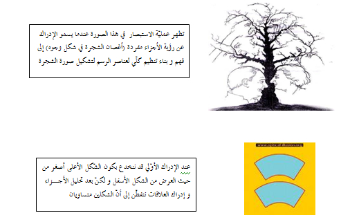 education4.jpg education4.jpg